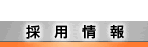 ̗p